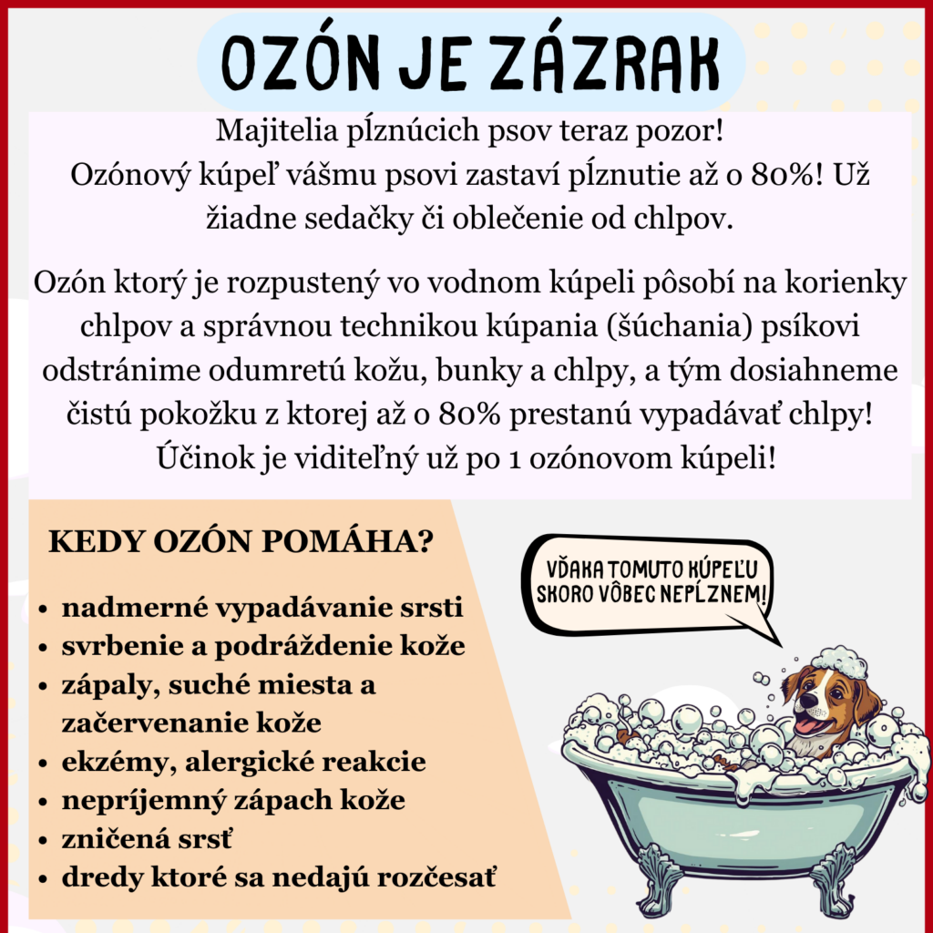 Psí salón, strihanie psov, ozónová terapia