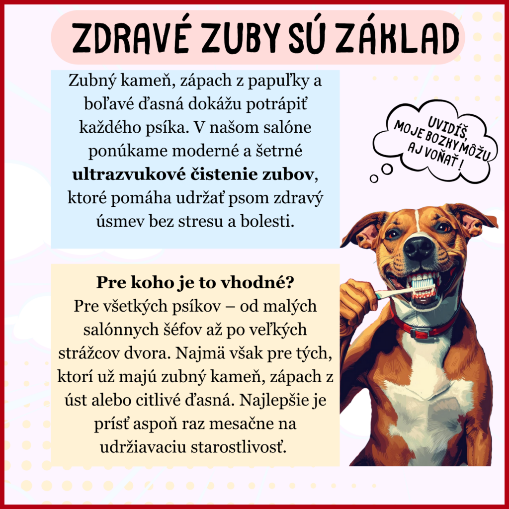 Úprava srsti pre psov – Nitra